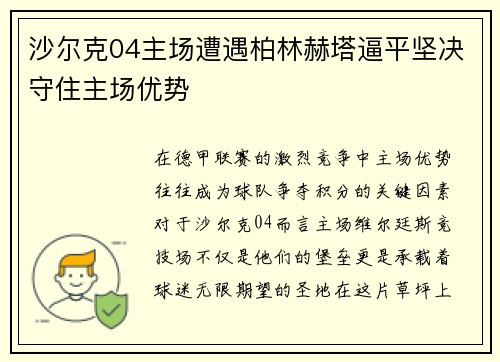 沙尔克04主场遭遇柏林赫塔逼平坚决守住主场优势